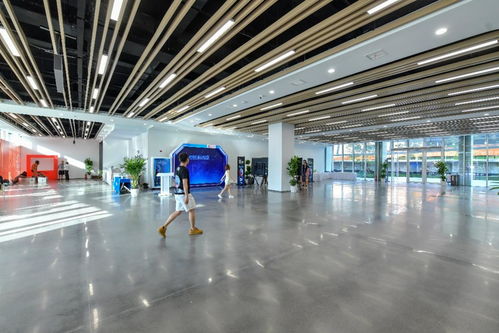相約湖北 夢幻靈境AI展演中心即將開館，共探網絡技術開發新前沿